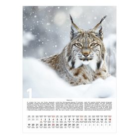 Falinaptár TOPTIMER T093 310x420mm álló Vadászat 2026.