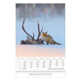   Falinaptár CSG 335x455mm álló Vadász a Kárpát-Medencében 2026.