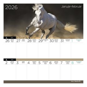  Falinaptár mágneses LIZZY CARD 220x220mm 2 hetes Lovak 2026.